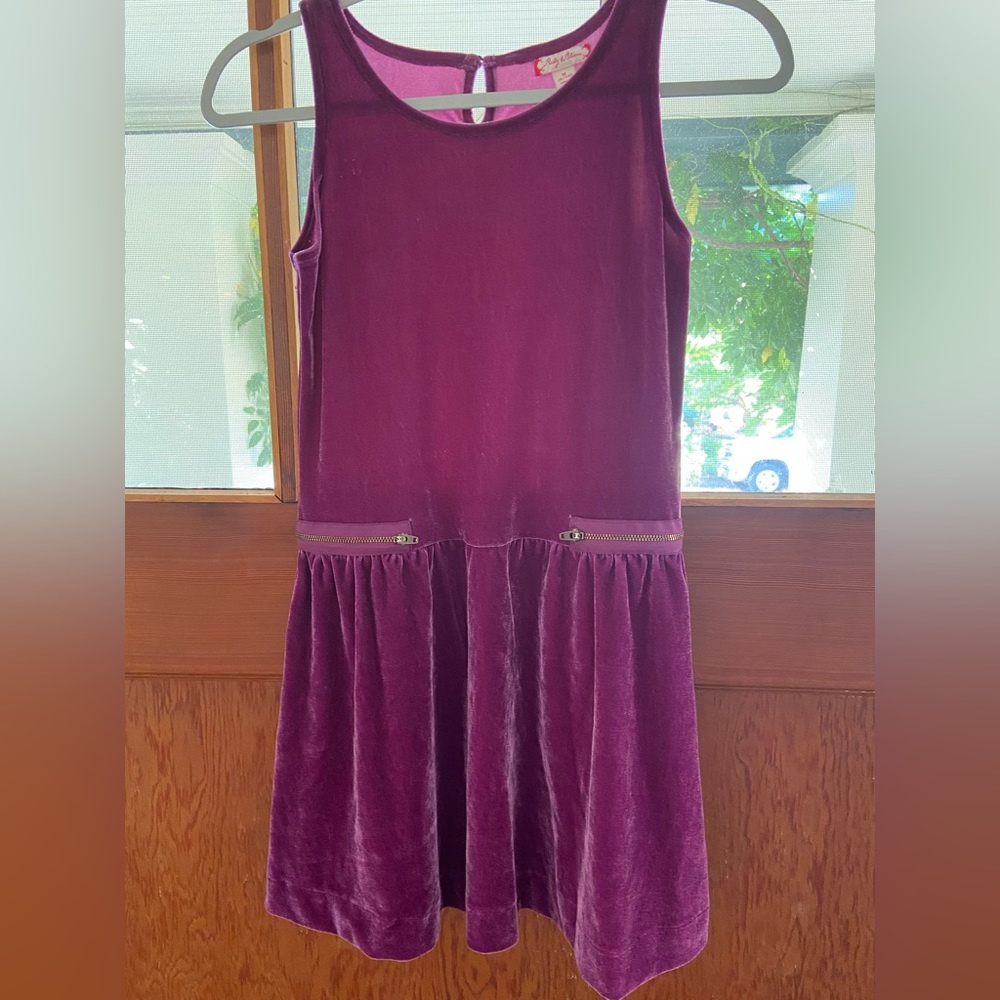 Excellent gently used condition (worn maybe once) velvet dress. Size 8/10.